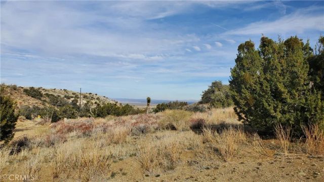 0 Vicinity Ross Road East, Juniper Hills, CA 93543