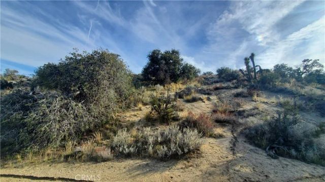 0 Vicinity Ross Road East, Juniper Hills, CA 93543
