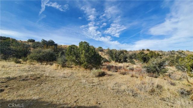 0 Vicinity Ross Road East, Juniper Hills, CA 93543