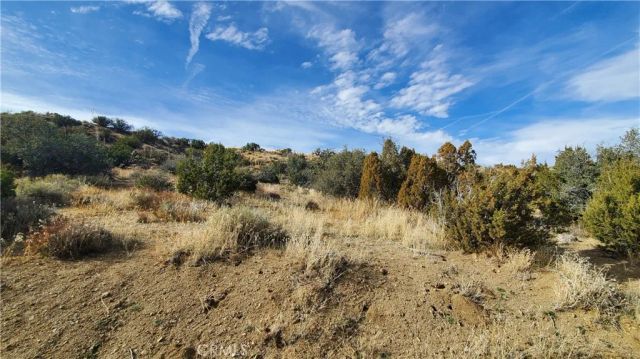 0 Vicinity Ross Road East, Juniper Hills, CA 93543