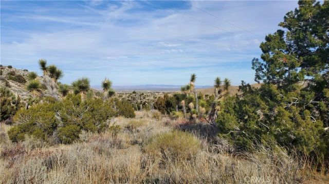 0 Vicinity Ross Road East, Juniper Hills, CA 93543
