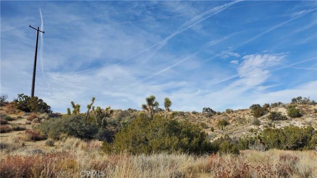 0 Vicinity Ross Road East, Juniper Hills, CA 93543