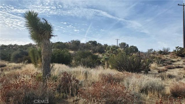 0 Vicinity Ross Road East, Juniper Hills, CA 93543