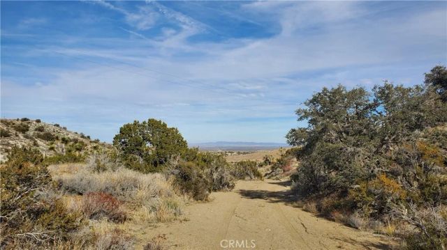 0 Vicinity Ross Road East, Juniper Hills, CA 93543