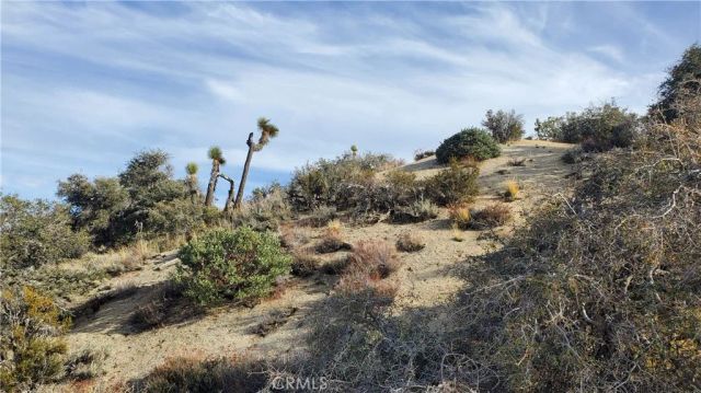 0 Vicinity Ross Road East, Juniper Hills, CA 93543