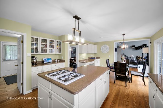 4 Dryden Court, Algonquin, IL 60102