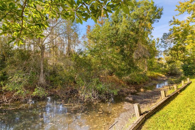 7247 CLEOPATRA DRIVE, Land O Lakes, FL 34637