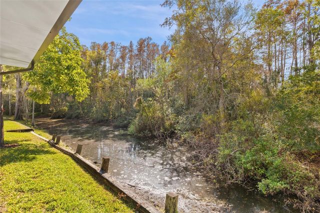 7247 CLEOPATRA DRIVE, Land O Lakes, FL 34637