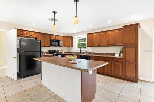 229 W MCCLENDON STREET, Lady Lake, FL 32159