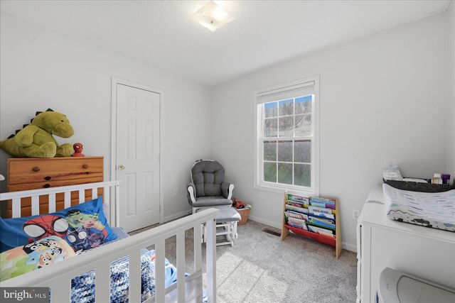 163 CLIFFSIDE RD, Linden, VA 22642