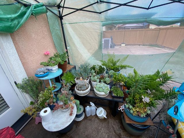 20848 Shrub Oak Dr, Patterson, CA 95363