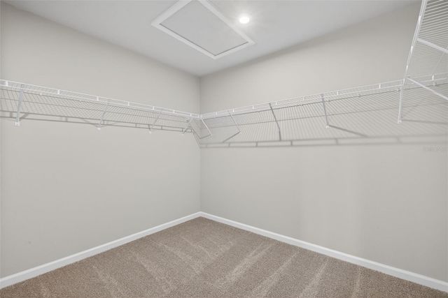 3352 TIMBER CROSSING AVENUE, Brandon, FL 33511