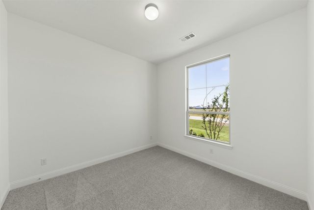 313 Hollingsworth Lane, Glenn Heights, TX 75154
