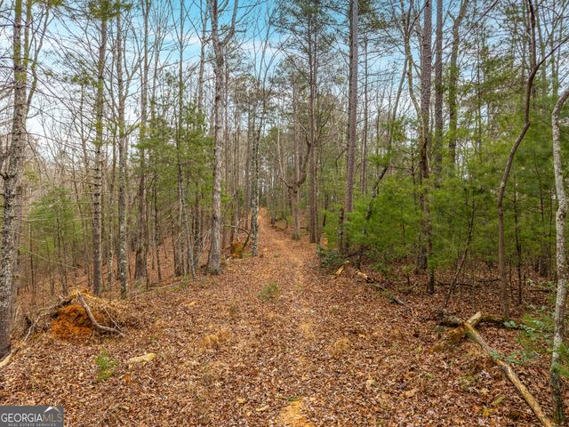 2641 Highway 52 E, Ellijay, GA 30536