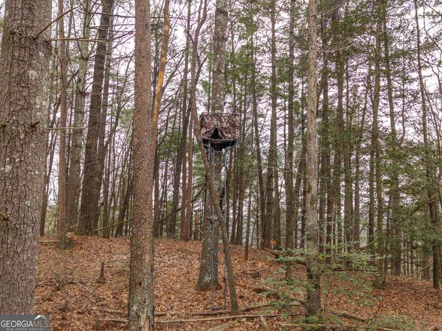 2641 Highway 52 E, Ellijay, GA 30536