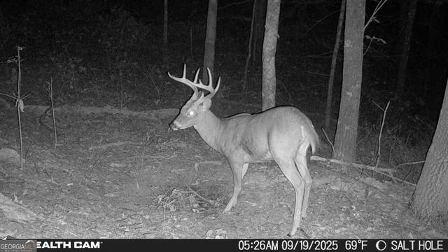 2641 Highway 52 E, Ellijay, GA 30536