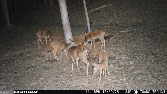 2641 Highway 52 E, Ellijay, GA 30536