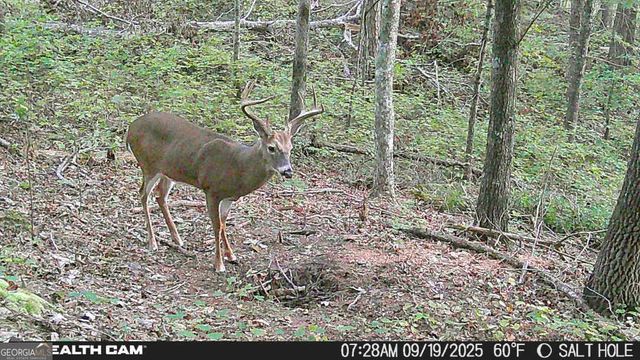 2641 Highway 52 E, Ellijay, GA 30536