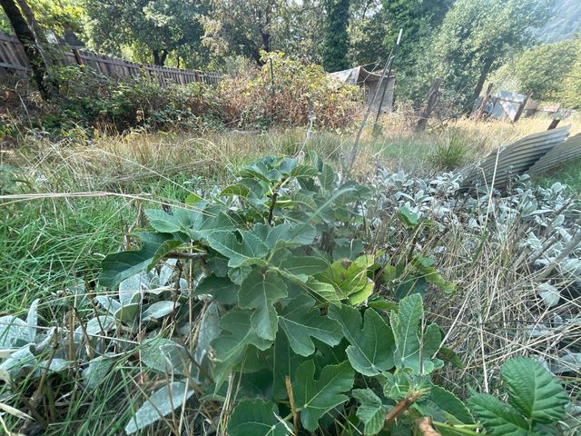 111 E Perch Creek Road, Orleans, CA 95556