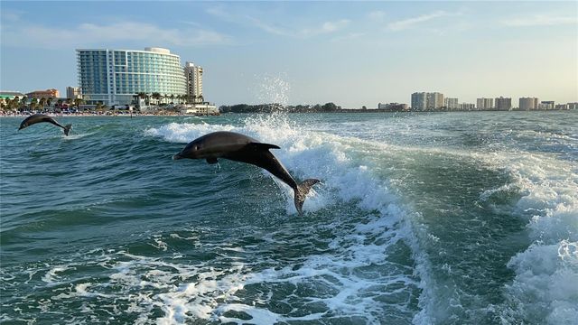 400 ISLAND WAY 701, Clearwater Beach, FL 33767