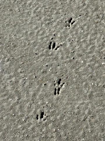 5209 WESTERN DRIVE, St James City, FL 33956