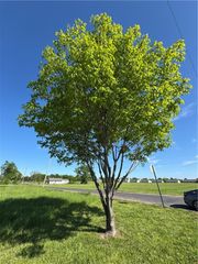 1025 E Grant Street, Ottawa, KS 66067