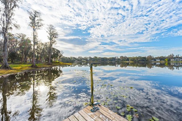 16619 INDIAN MOUND ROAD, Tampa, FL 33618