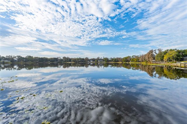 16619 INDIAN MOUND ROAD, Tampa, FL 33618