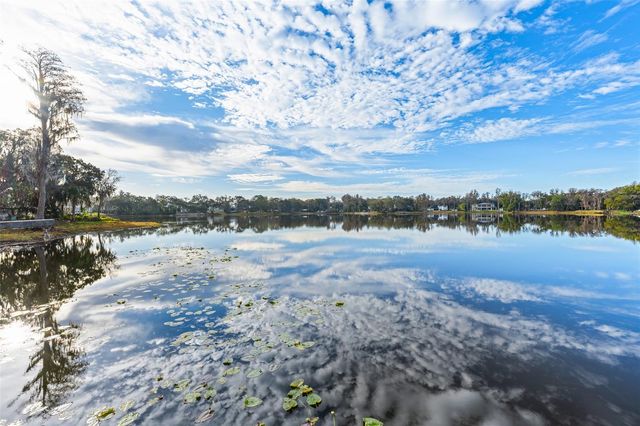 16619 INDIAN MOUND ROAD, Tampa, FL 33618