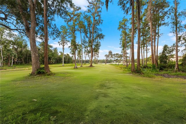 16619 INDIAN MOUND ROAD, Tampa, FL 33618