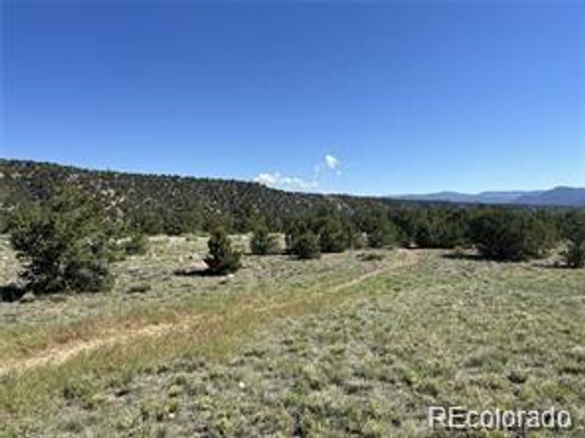 14973 Chalk Creek Drive, Nathrop, CO 81236