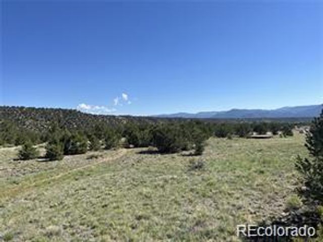14973 Chalk Creek Drive, Nathrop, CO 81236