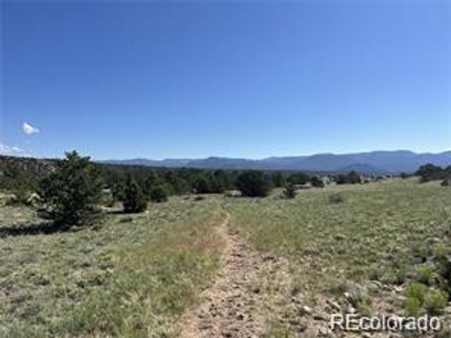 14973 Chalk Creek Drive, Nathrop, CO 81236