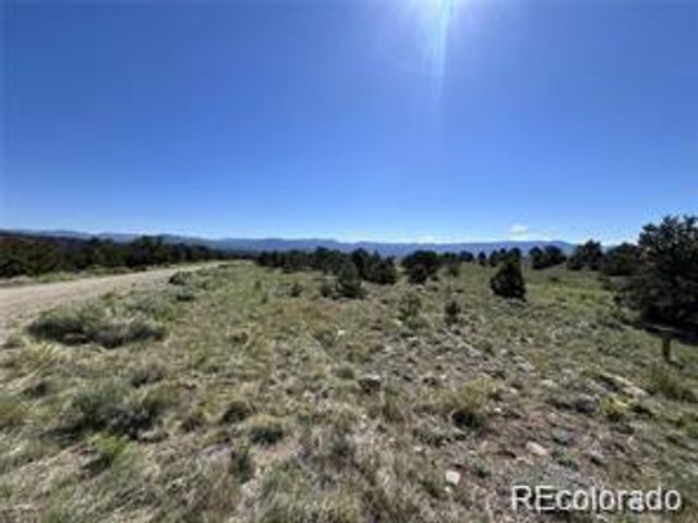 14973 Chalk Creek Drive, Nathrop, CO 81236