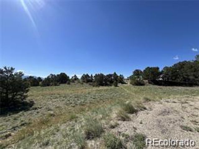 14973 Chalk Creek Drive, Nathrop, CO 81236