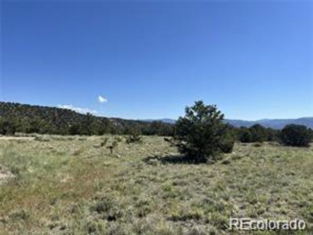 14973 Chalk Creek Drive, Nathrop, CO 81236