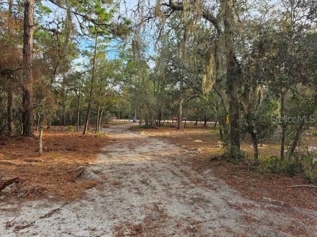 6341 W STOCKHOLM LANE, Dunnellon, FL 34433