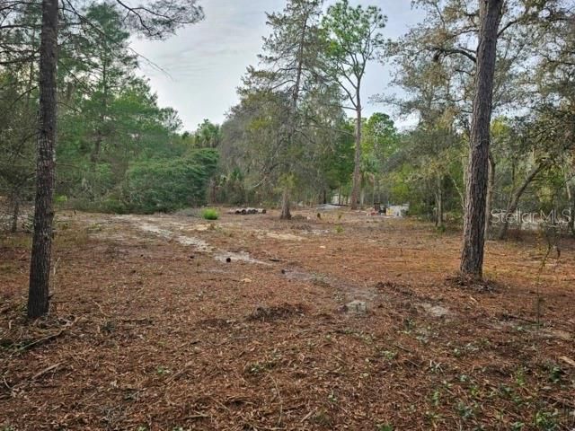 6341 W STOCKHOLM LANE, Dunnellon, FL 34433