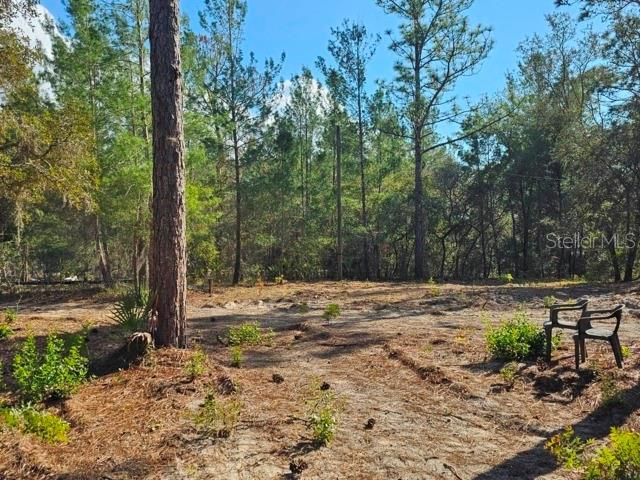 6341 W STOCKHOLM LANE, Dunnellon, FL 34433