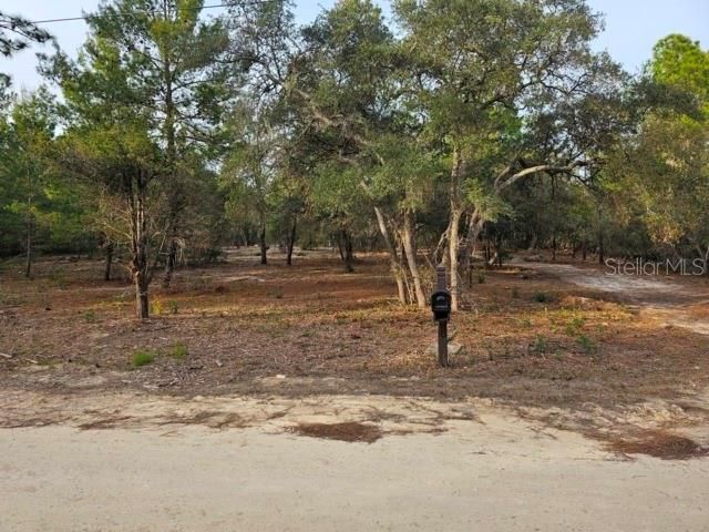 6341 W STOCKHOLM LANE, Dunnellon, FL 34433