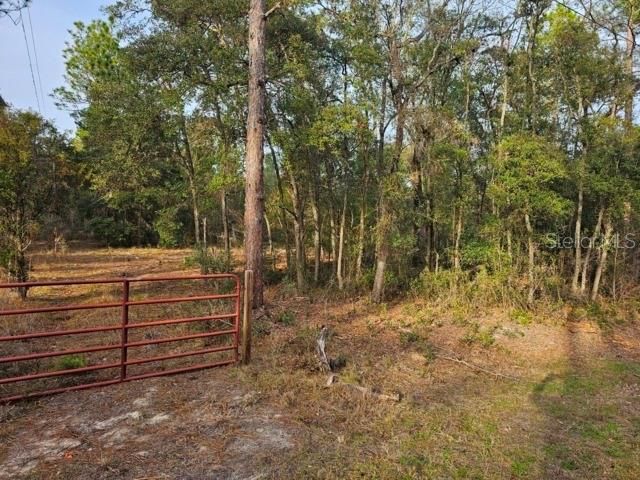 6341 W STOCKHOLM LANE, Dunnellon, FL 34433