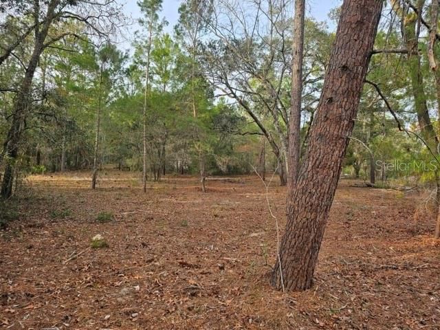 6341 W STOCKHOLM LANE, Dunnellon, FL 34433