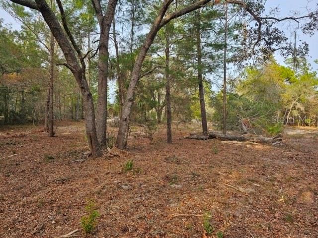 6341 W STOCKHOLM LANE, Dunnellon, FL 34433