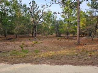 6341 W STOCKHOLM LANE, Dunnellon, FL 34433
