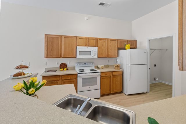 281 Sweet Alyssum Drive, Ladson, SC 29456