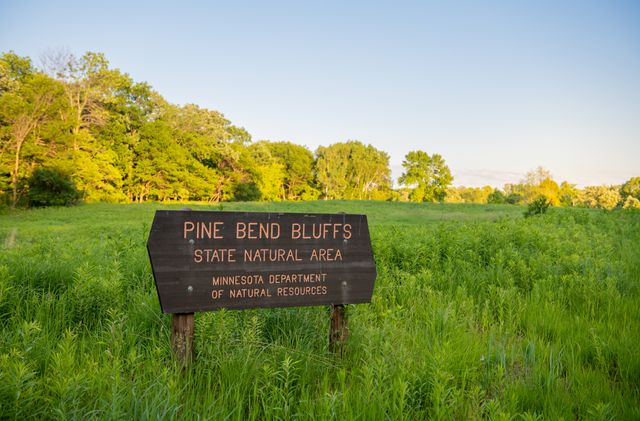 21603 Azalea L Lane, Farmington, MN 55024