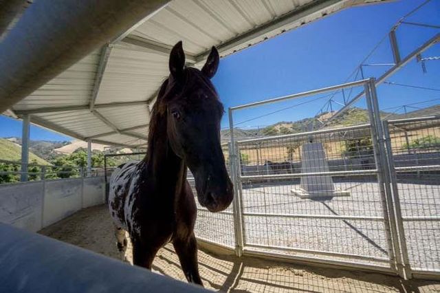 350 San Benancio Road, Salinas, CA 93908