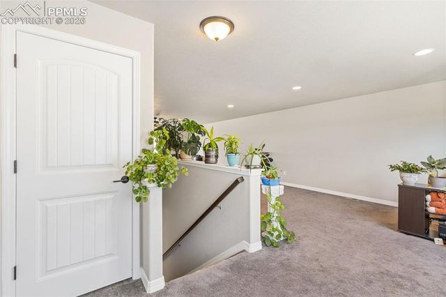 6987 Fauna Glen Drive, Colorado Springs, CO 80927