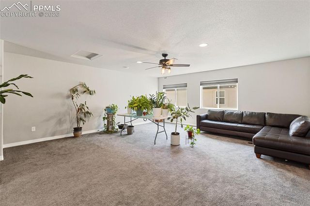6987 Fauna Glen Drive, Colorado Springs, CO 80927