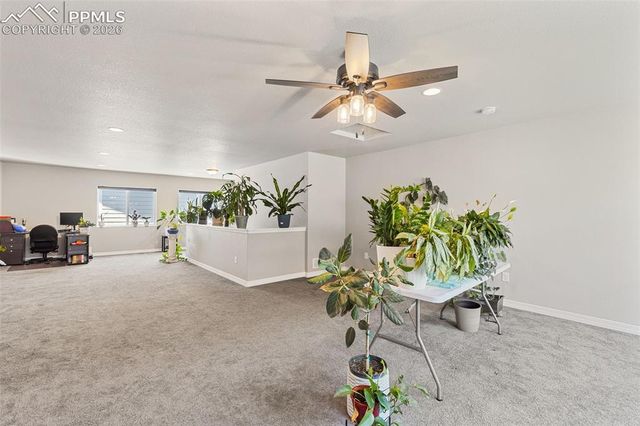 6987 Fauna Glen Drive, Colorado Springs, CO 80927